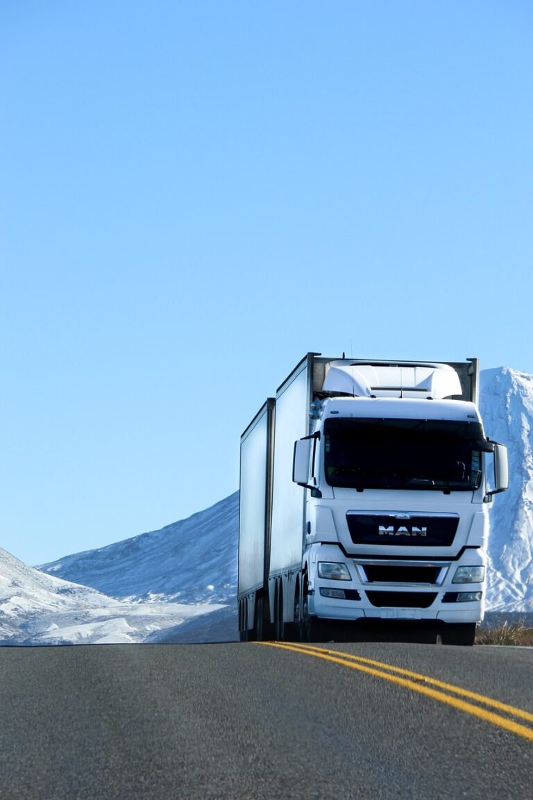 truck, road, vehicle, snow, nature, white, blue, lorry, transport, blue road, blue truck, blue snow